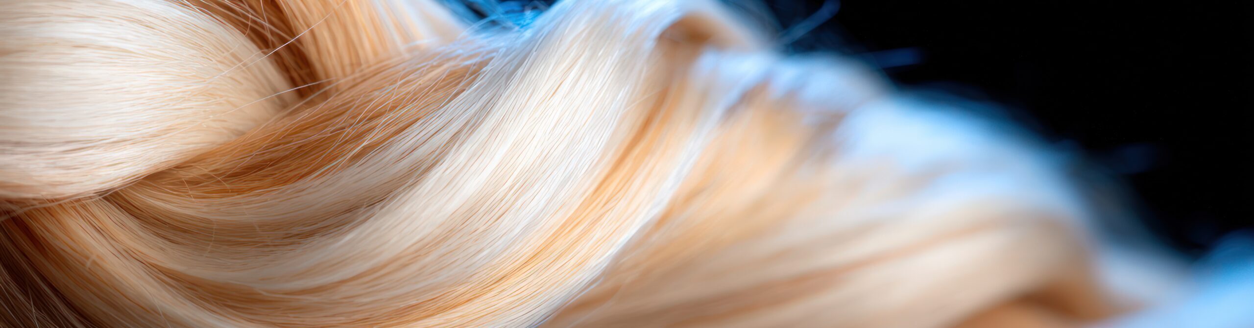 bharat hair india hair extensions Blonde and light brown braided hair strands close up intricate weave texture on dark background with subtle blue highlight and soft glow